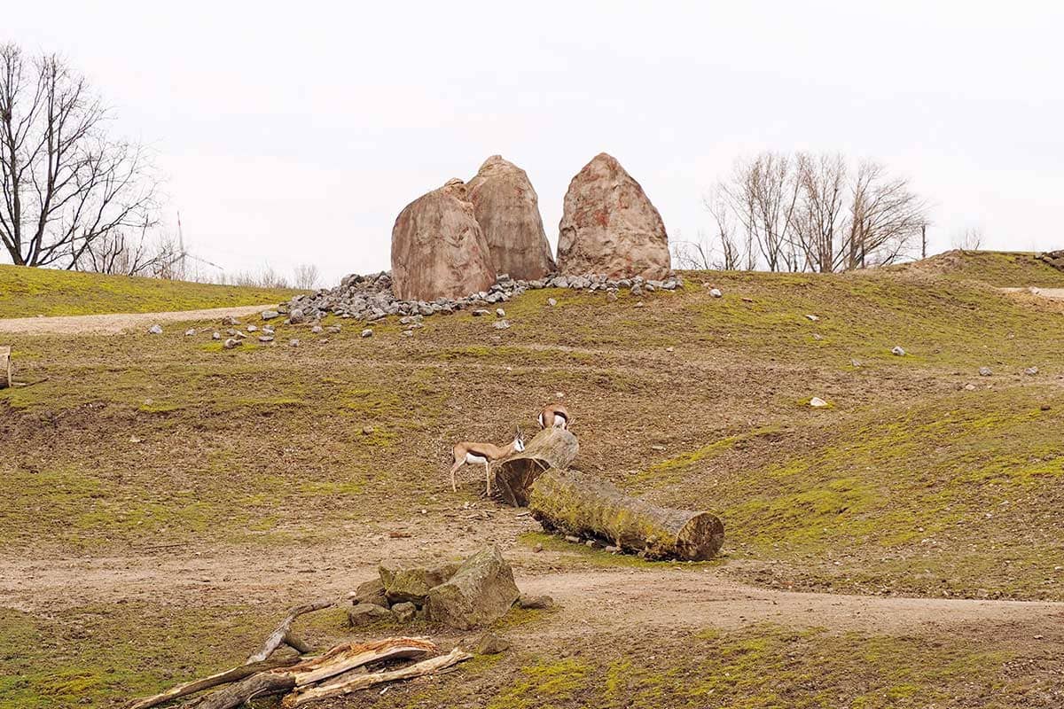 Afrika in der ZOOM Erlebniswelt