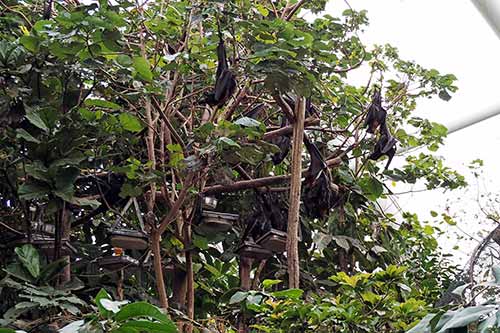 Asien ZOOM Erlebniswelt Gelsenkirchen
