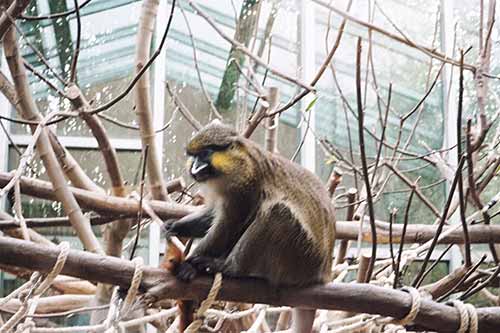 ZOOM Erlebniswelt Gelsenkirchen