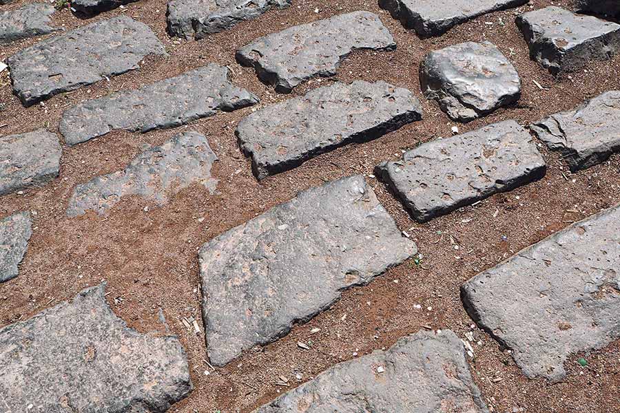 Stadtführung mit der Maus in Köln