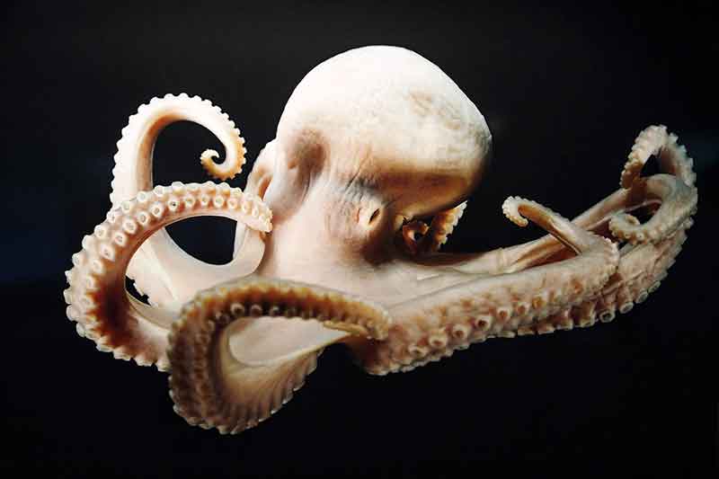 Gasometer mit Kindern