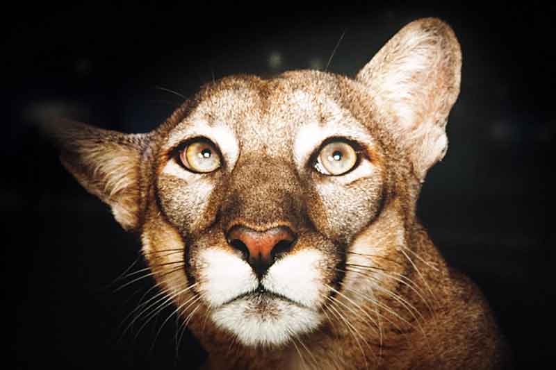 Gasometer mit Kindern