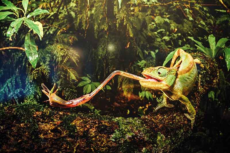 Gasometer mit Kindern