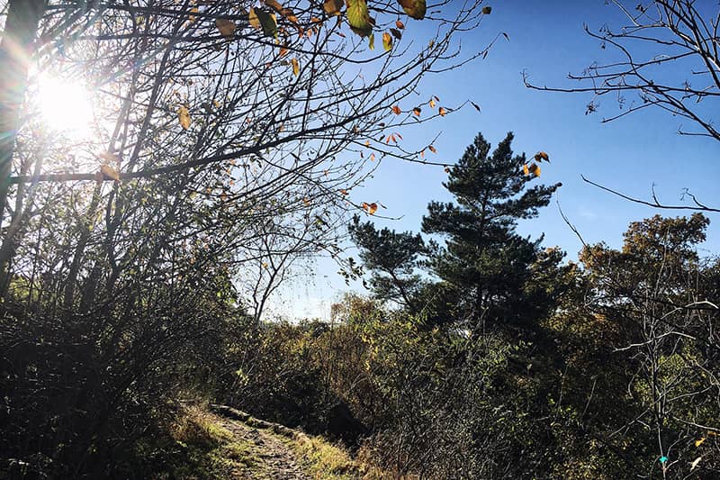 Siebengebirge mit Kindern