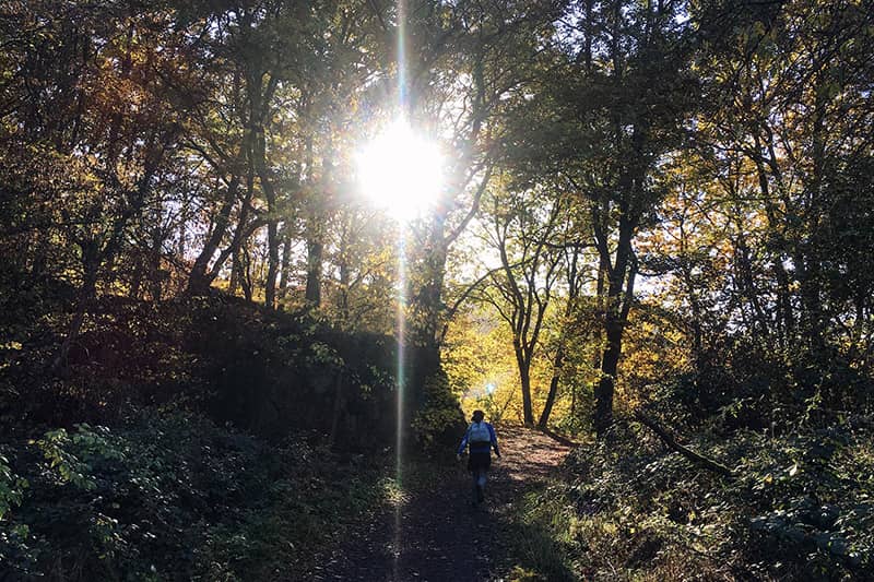 Siebengebirge mit Kindern