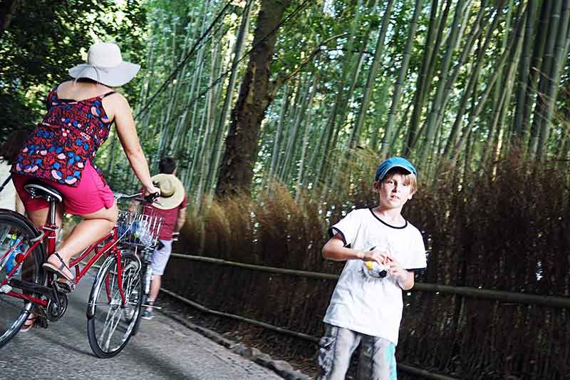 Bambuswald von Arashiyama