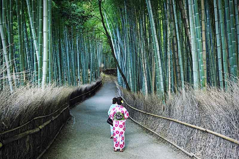 Bambuswald von Arashiyama