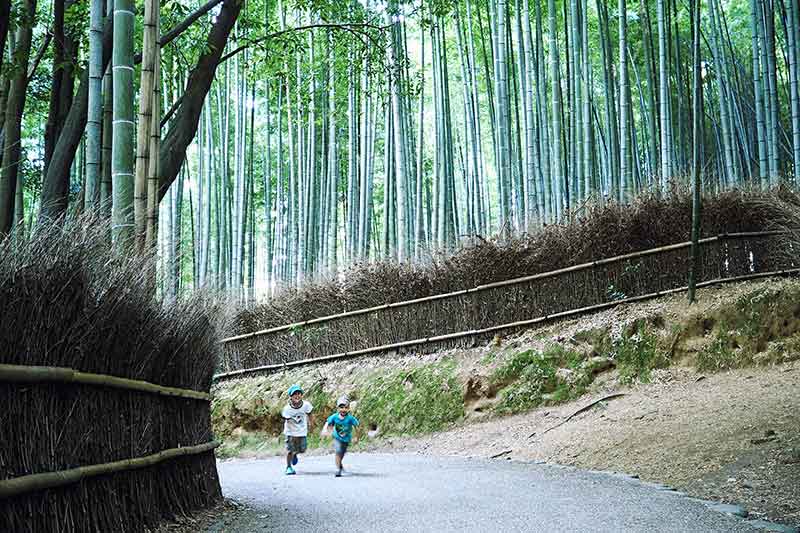 Bambuswald von Arashiyama