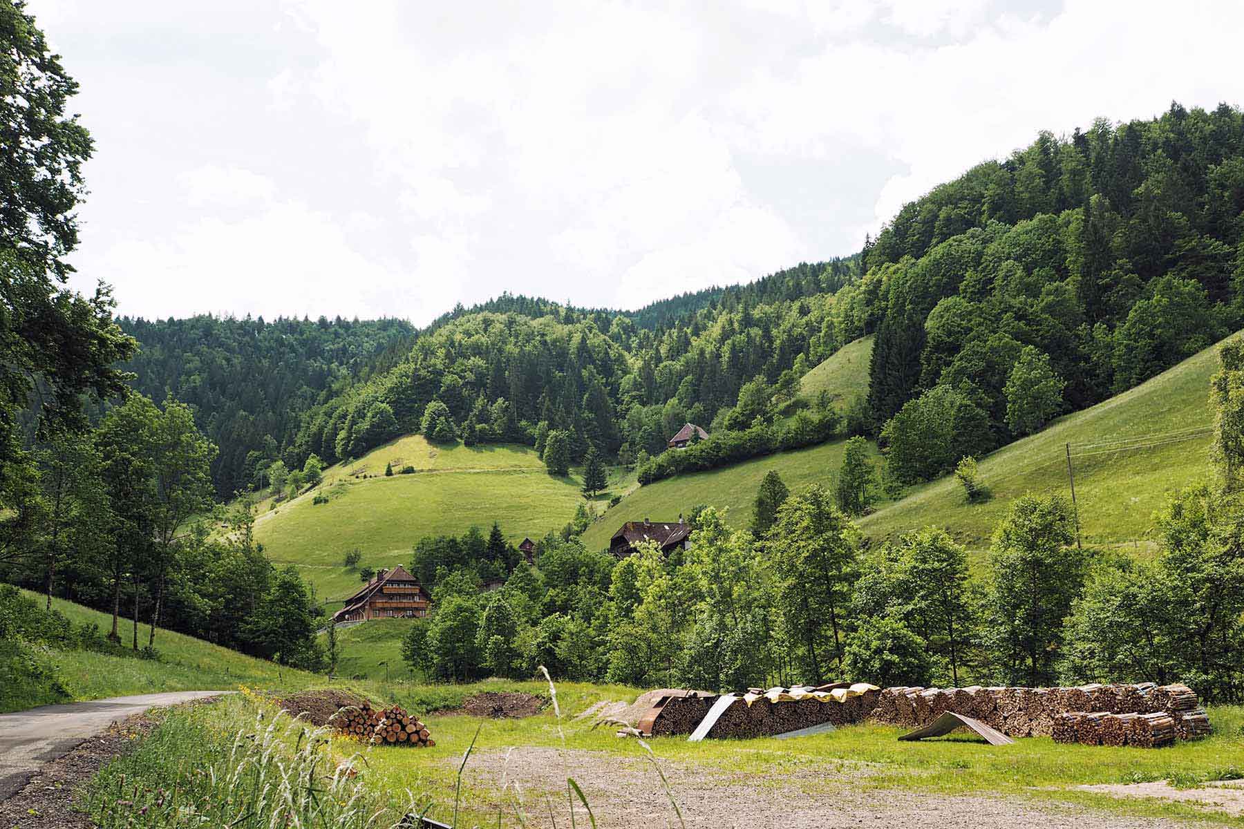 ZweiTälerLand Schwarzwald