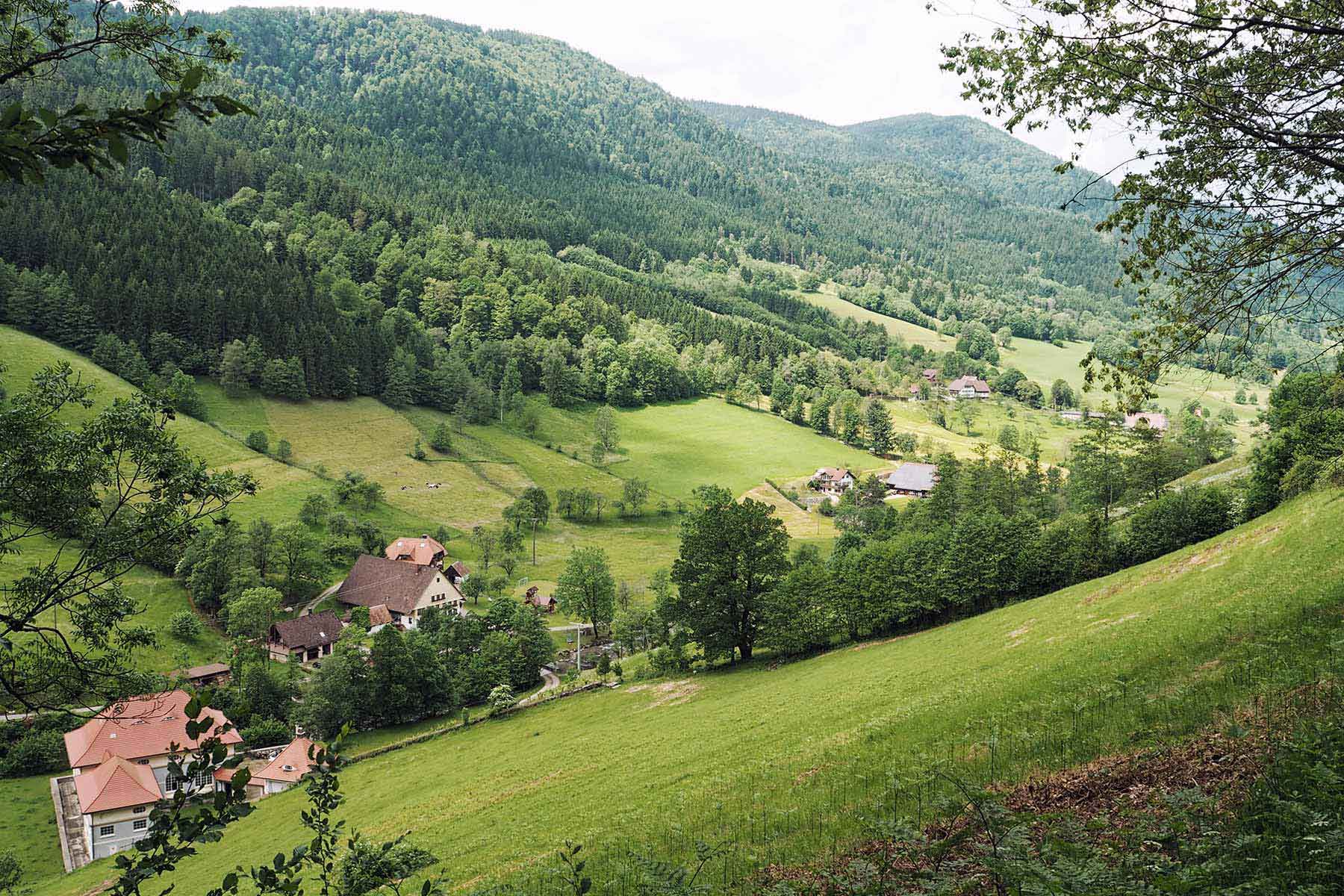 ZweiTälerLand Schwarzwald