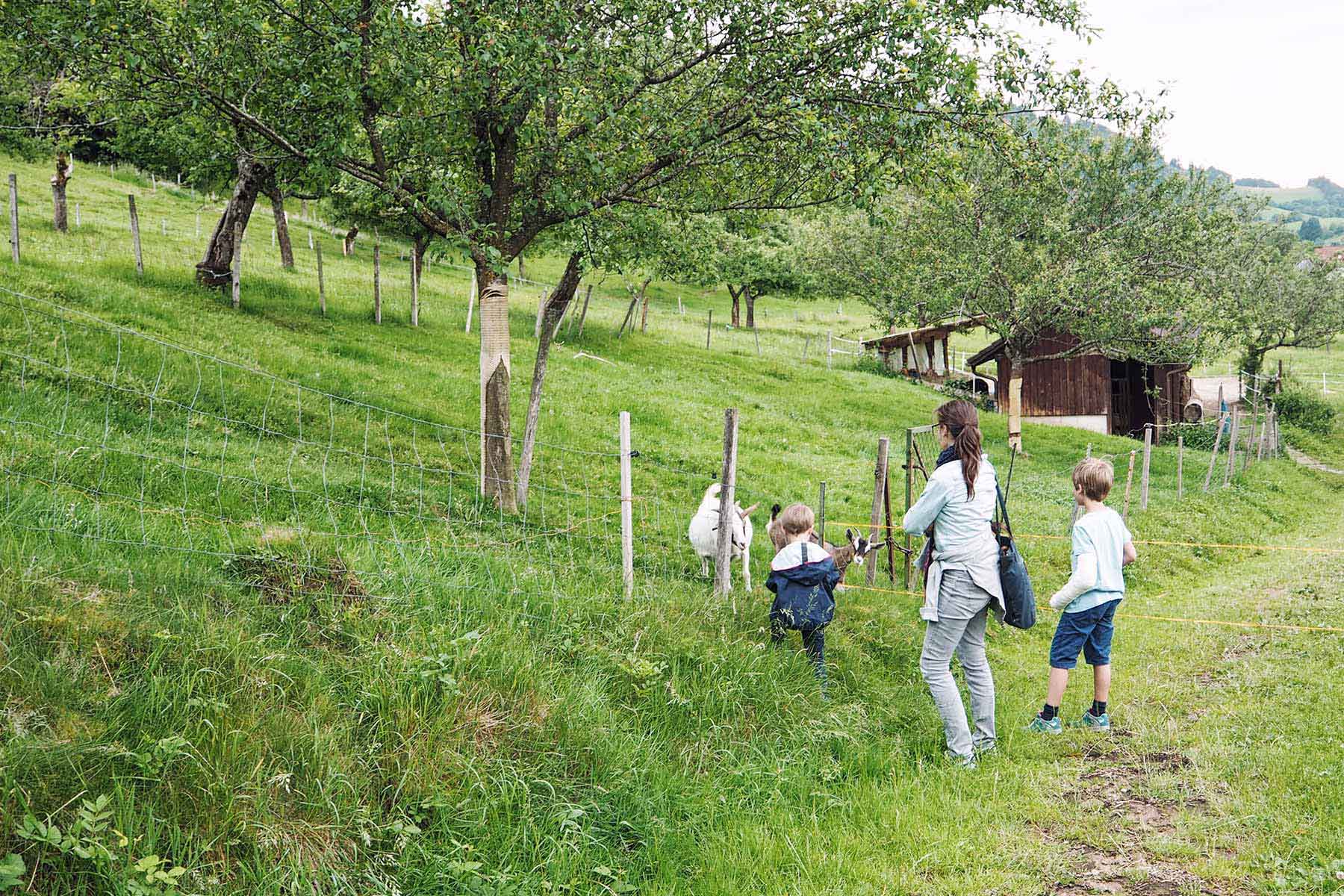 Kettererhof im Simonswäldertal