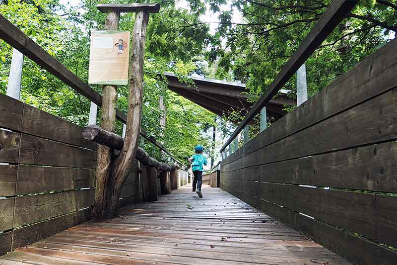 Baumkronenweg Schwarzwald