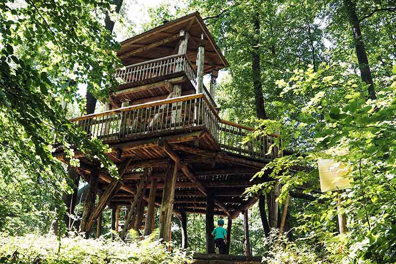 Baumkronenweg Waldkirch Schwarzwald