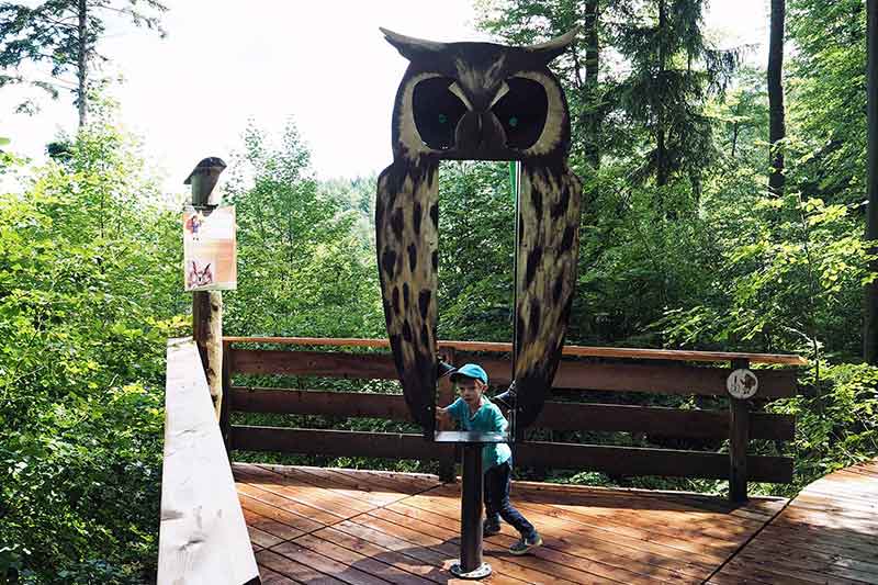 Baumkronenweg Waldkirch Schwarzwald