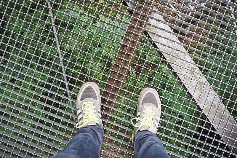 Baumkronenweg Waldkirch Schwarzwald