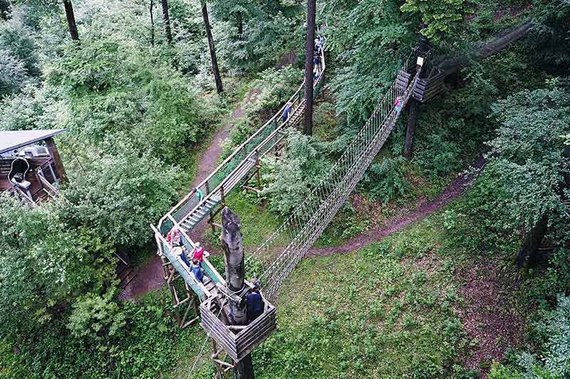 Baumkronenweg Waldkirch Schwarzwald