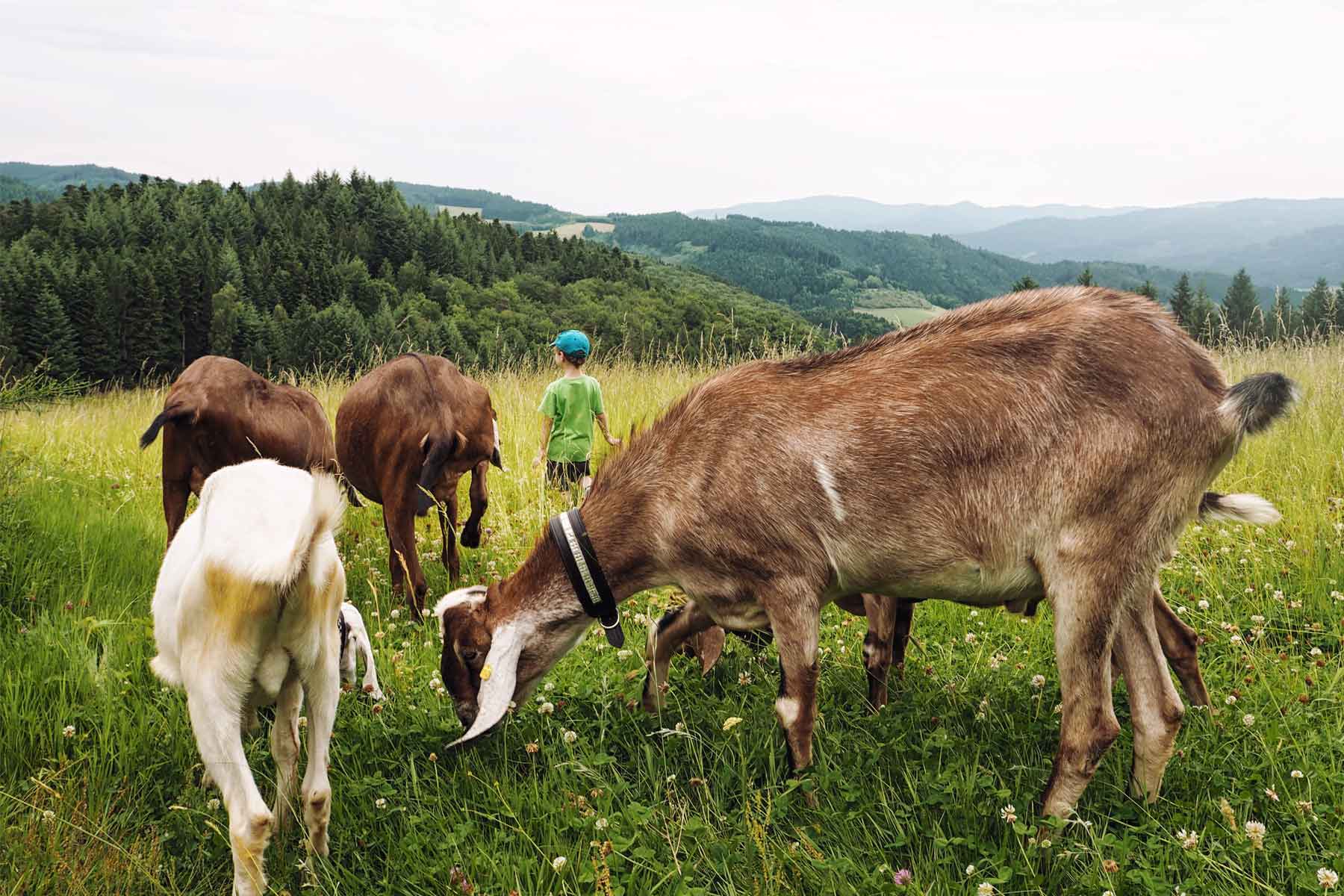 Aktiv im ZweiTälerLand im Schwarzwald
