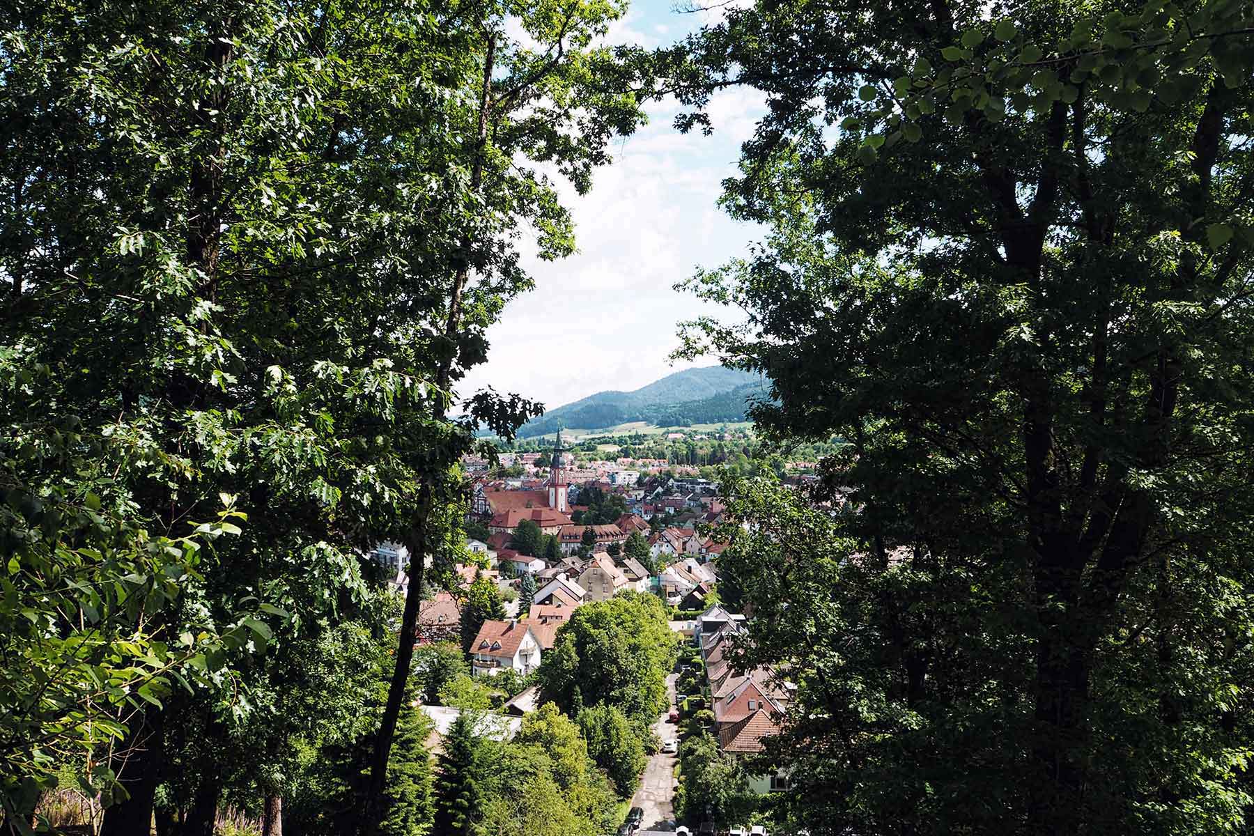 Schwarzwald Waldkirch