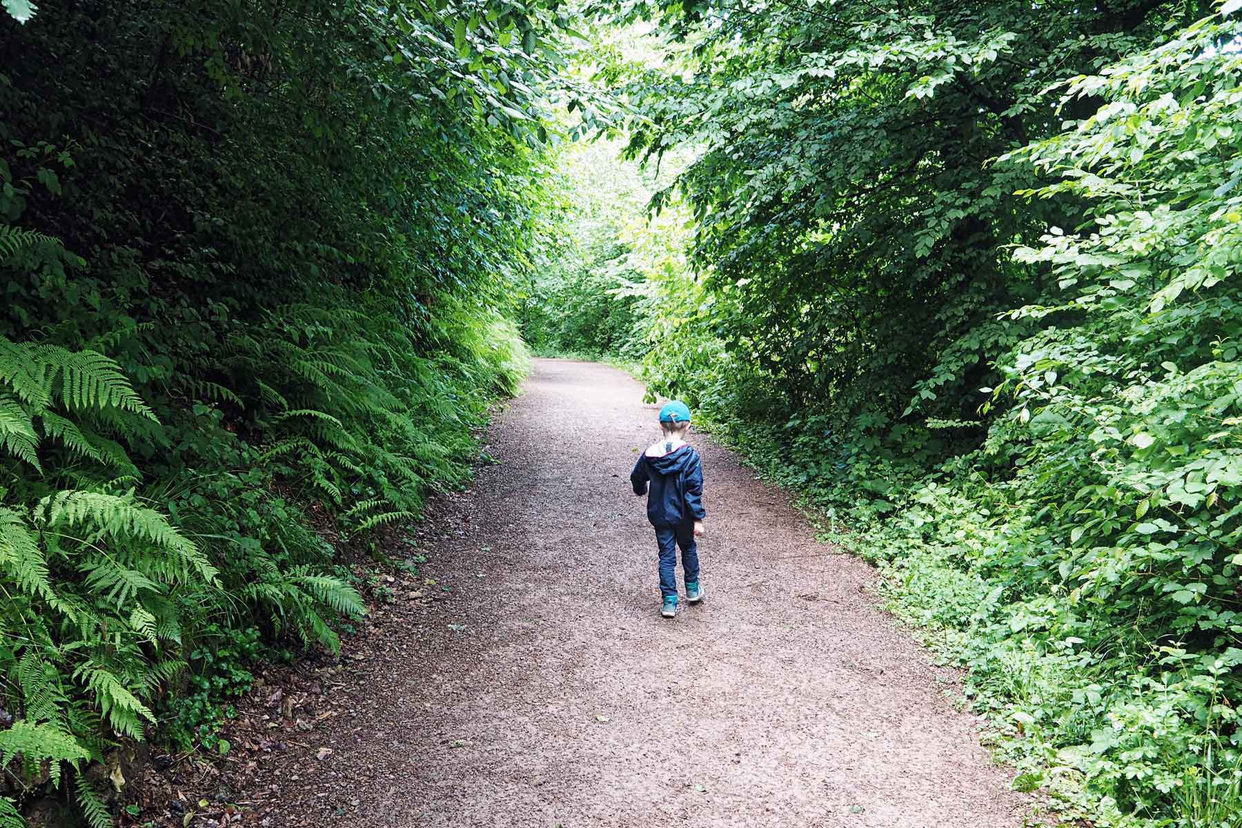 Familienwanderwege im Schwarzwald