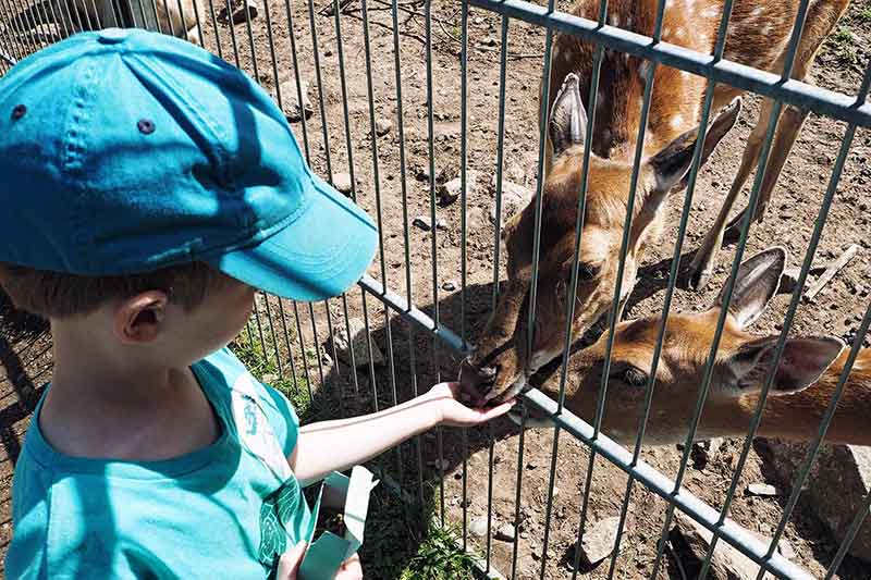 Schwarzwaldzoo Waldkirch