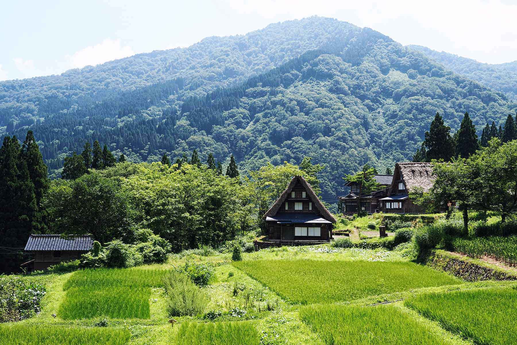 Gassho Häuser in Ainokura