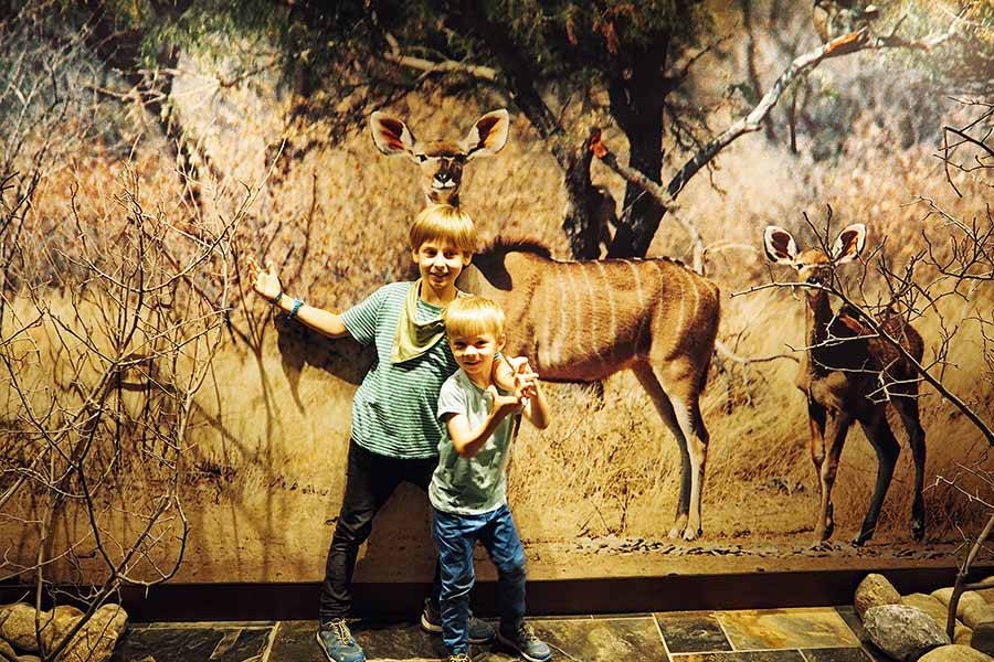 Linder Park-Hotel Hagenbeck Hamburg