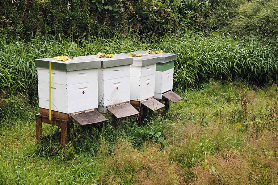 Linder Park-Hotel Hagenbeck Hamburg