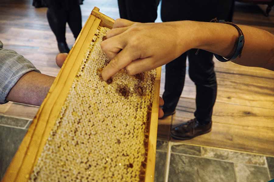 Linder Park-Hotel Hagenbeck Hamburg