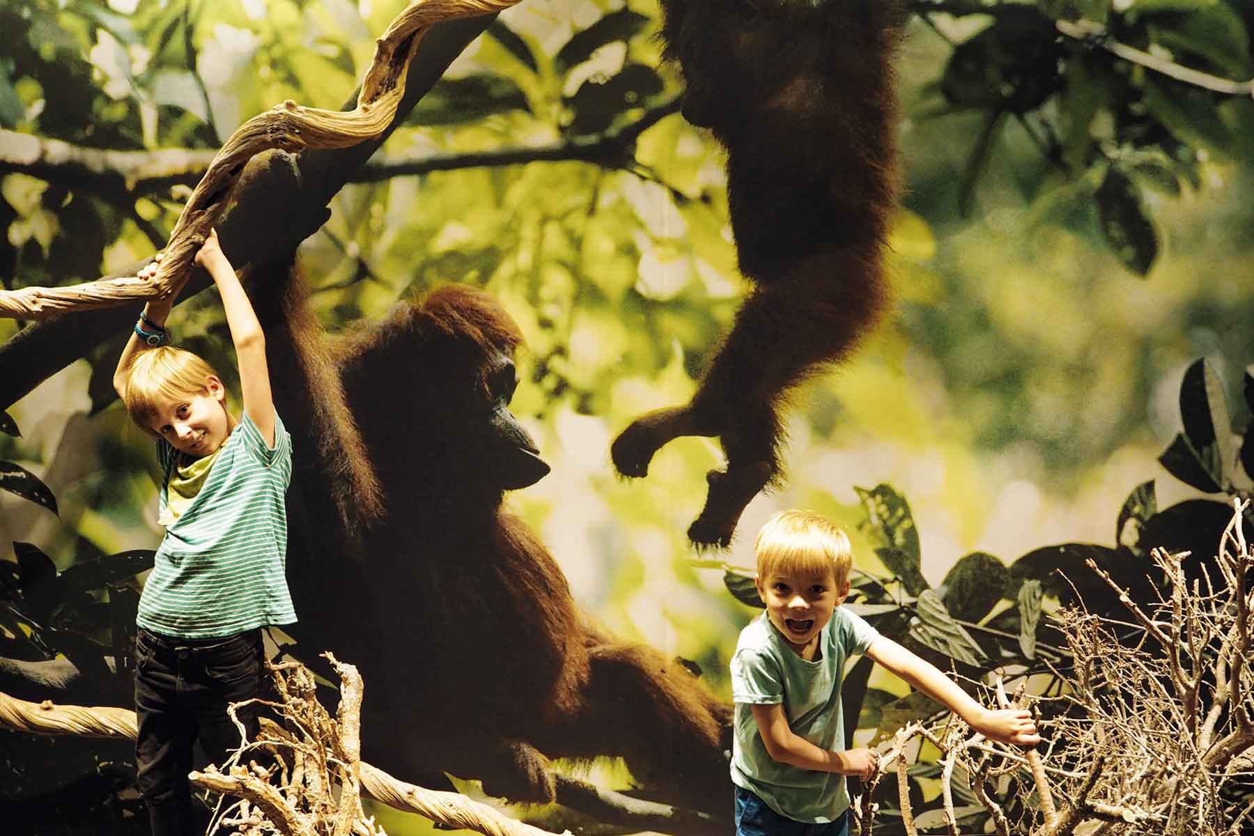 Linder Park-Hotel Hagenbeck Hamburg