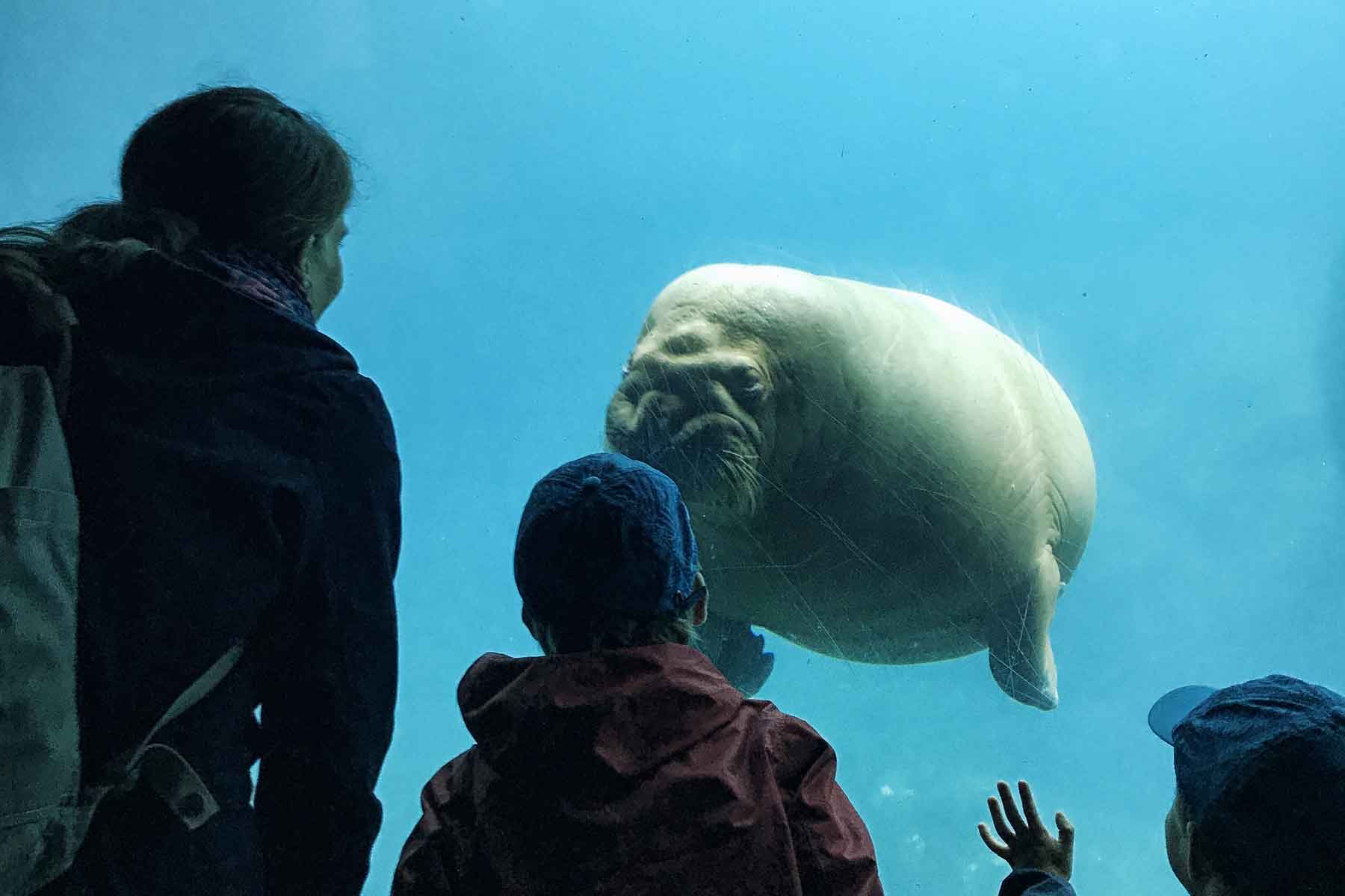 Tierpark Hagenbeck Hamburg