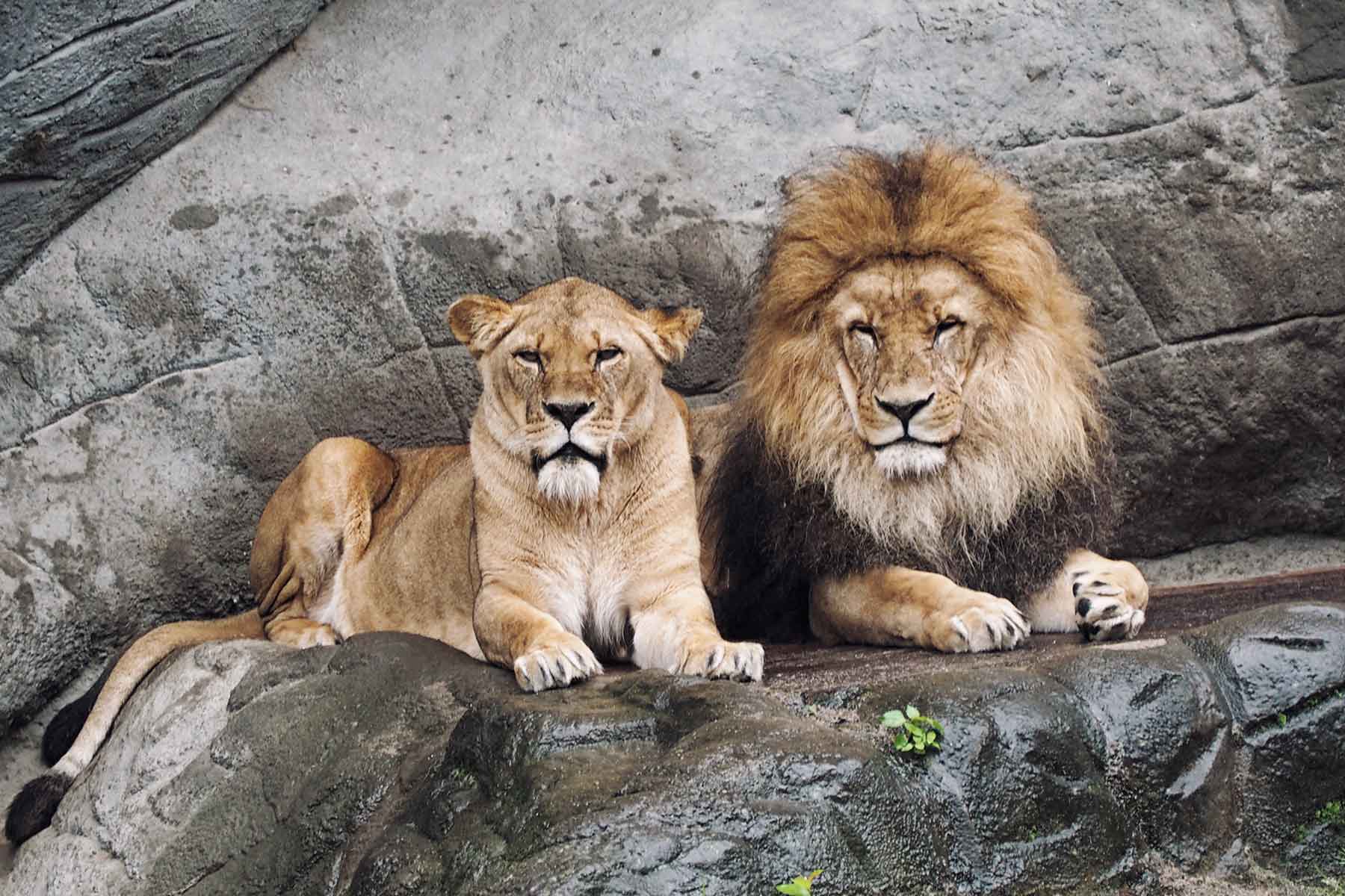 Tierpark Hagenbeck Hamburg