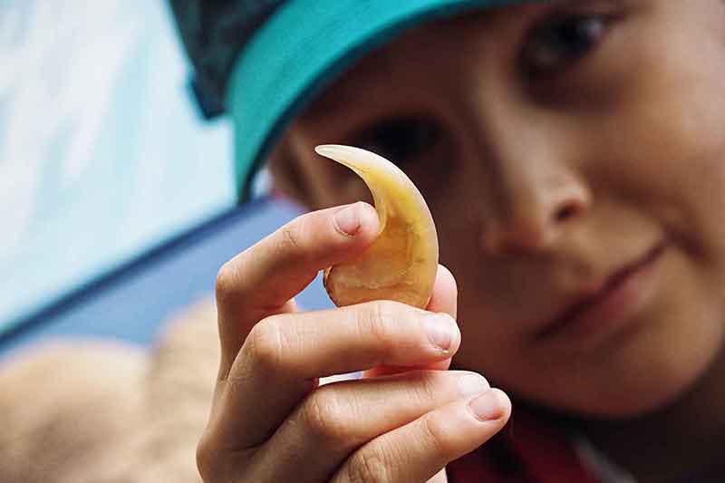 Tierpark Hagenbeck Hamburg