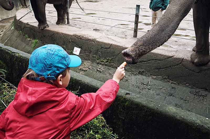 Tierpark Hagenbeck Hamburg