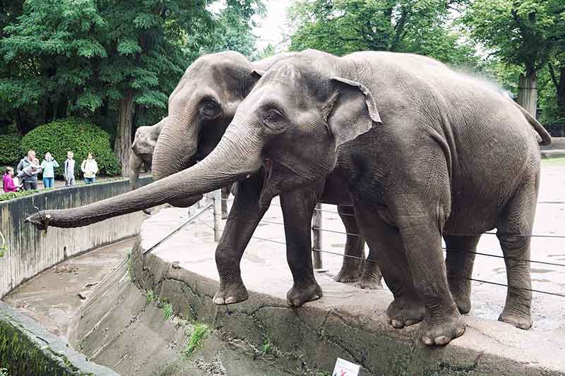 Tierpark Hagenbeck Hamburg