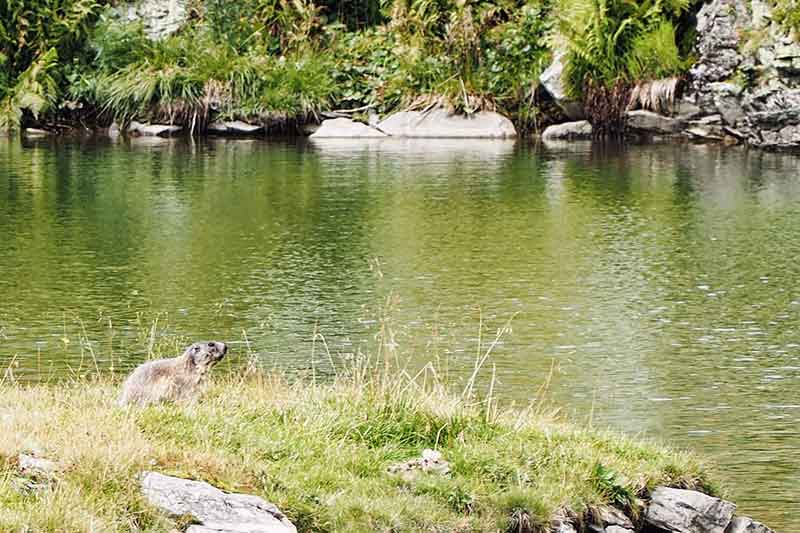 Österreich mit Kindern