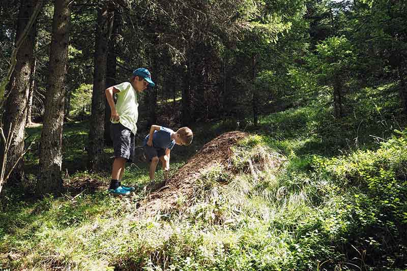 Mittelkärtnen mit Kindern