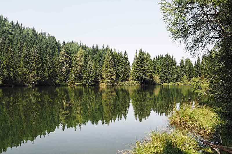 Mittelkärtnen mit Kindern