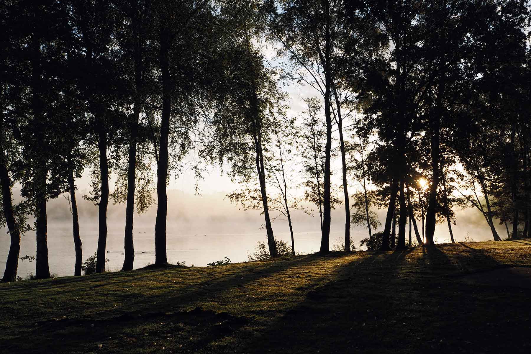 Beekse Bergen Safaripark Niederlande