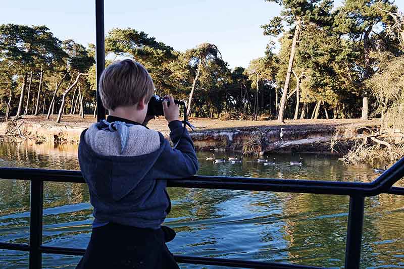 Beekse Bergen Safaripark Niederlande