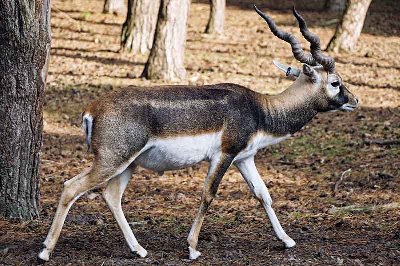 Beekse Bergen Ferienpark