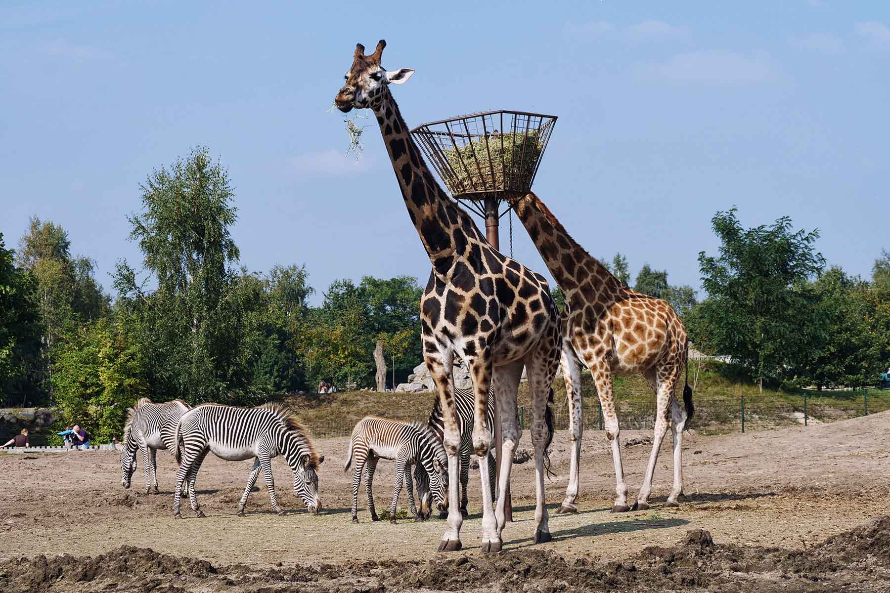Beekse Bergen Ferienpark