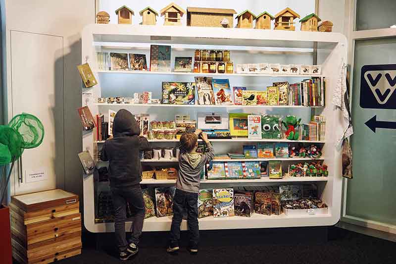 Niederlande mit Kindern