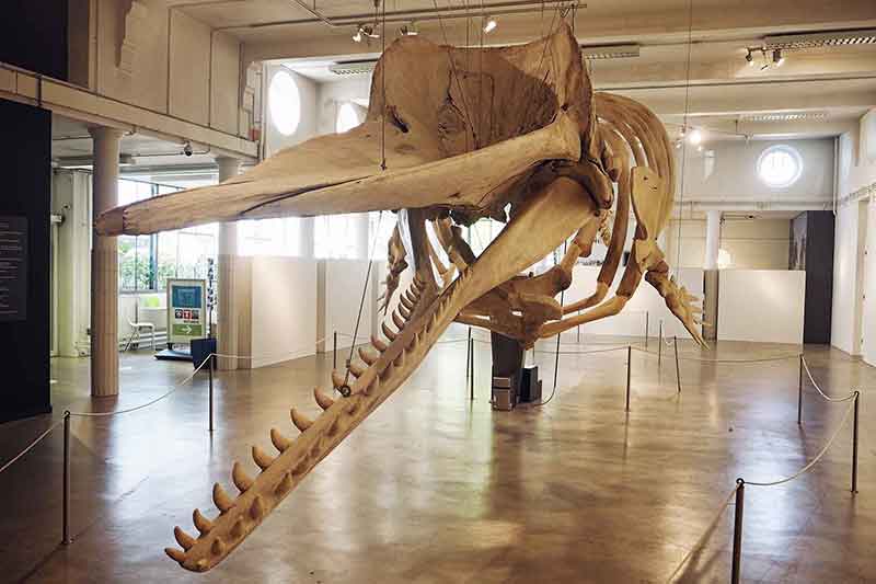 Niederlande mit Kindern