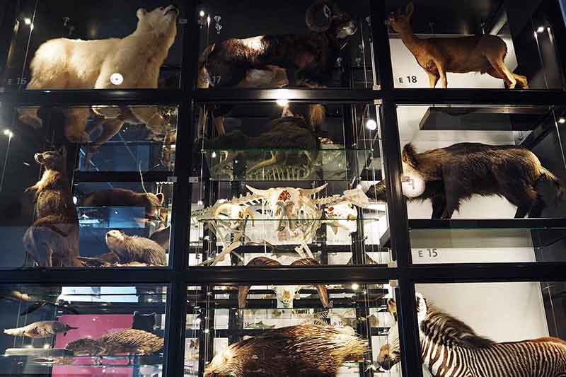 Niederlande mit Kindern