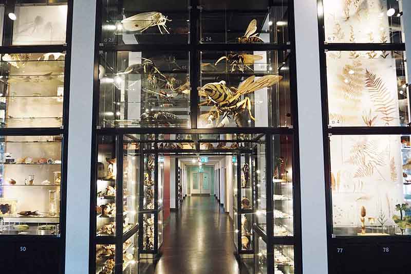 Niederlande mit Kindern