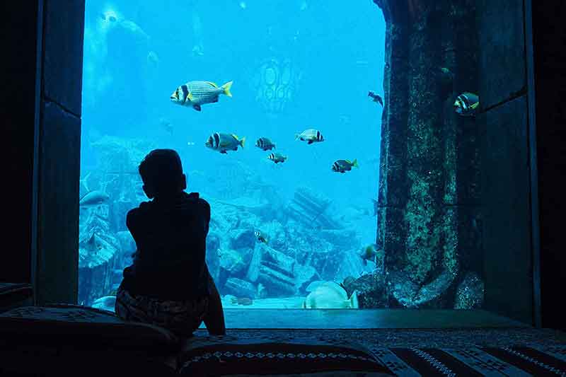 Lost Chambers Dubai Atlantis the Palm