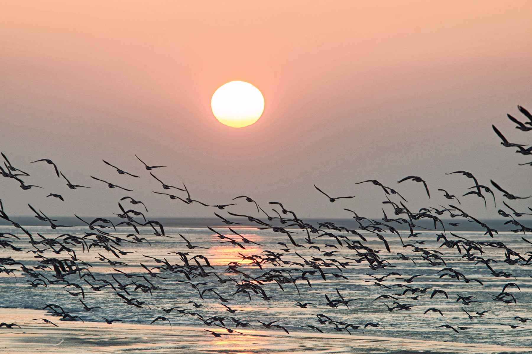 Schiermonnikoog Niederlande