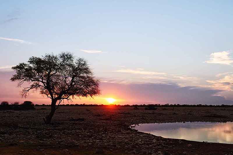 Wasserloch Etosha Nationalpark