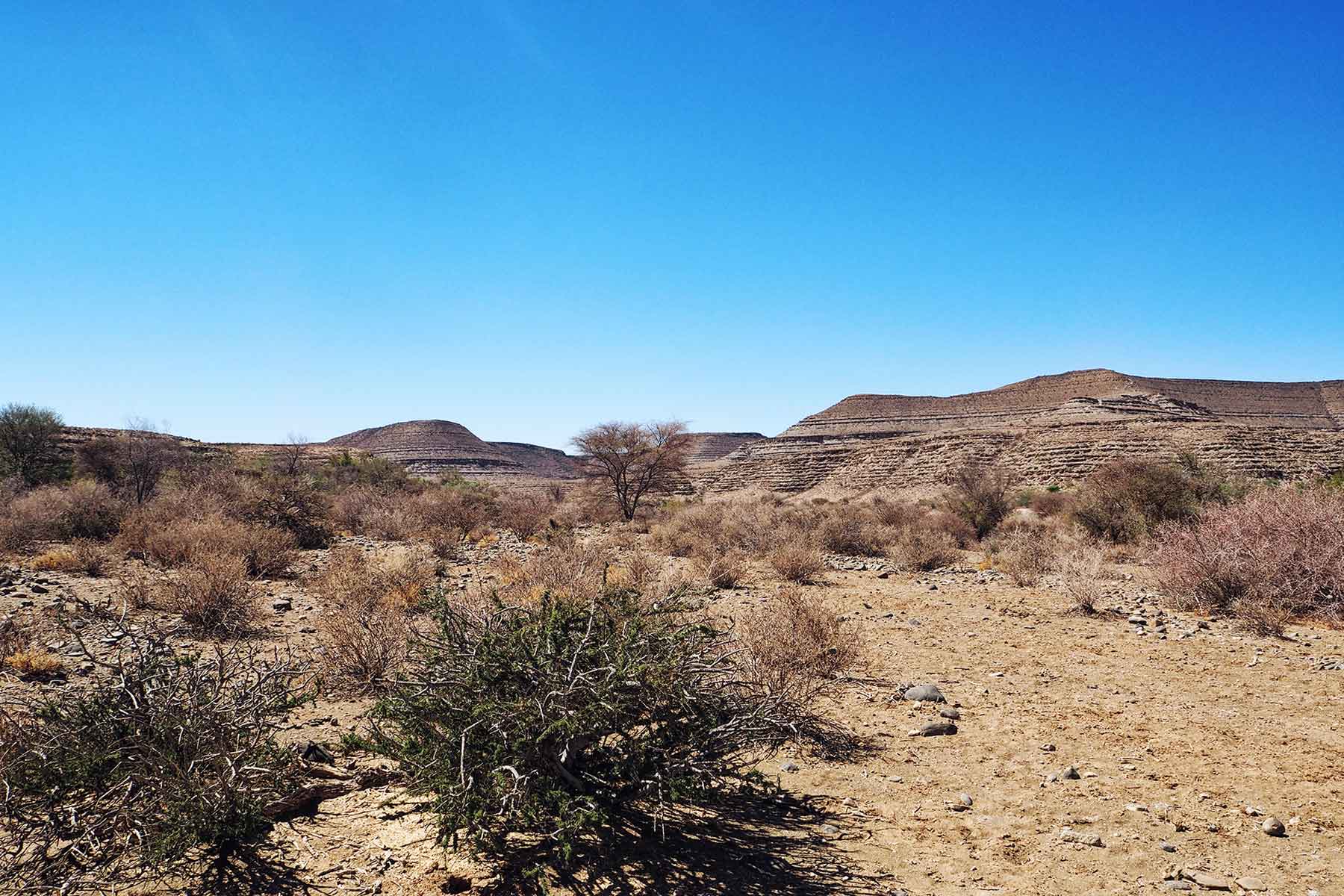 Zebra River Lodge Namibia