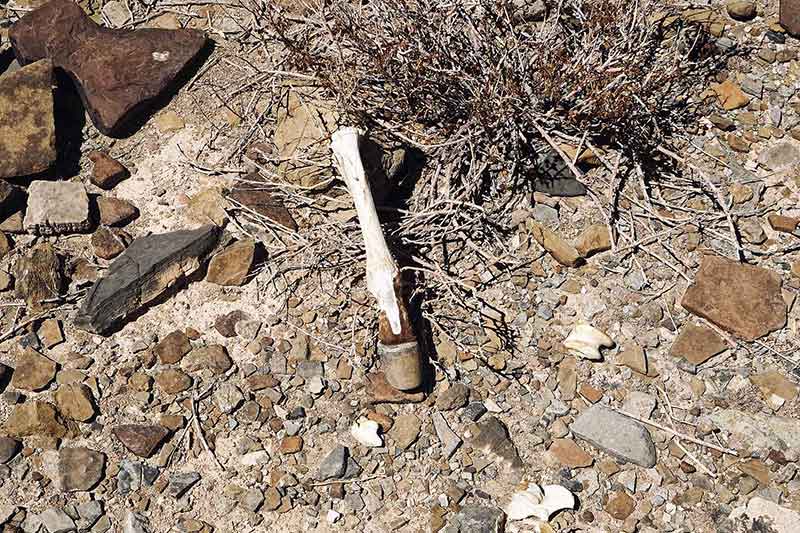 Zebra River Lodge Namibia